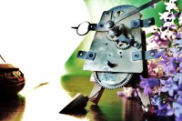 /album/www-pix-fx-de/bild-1398-jpg/